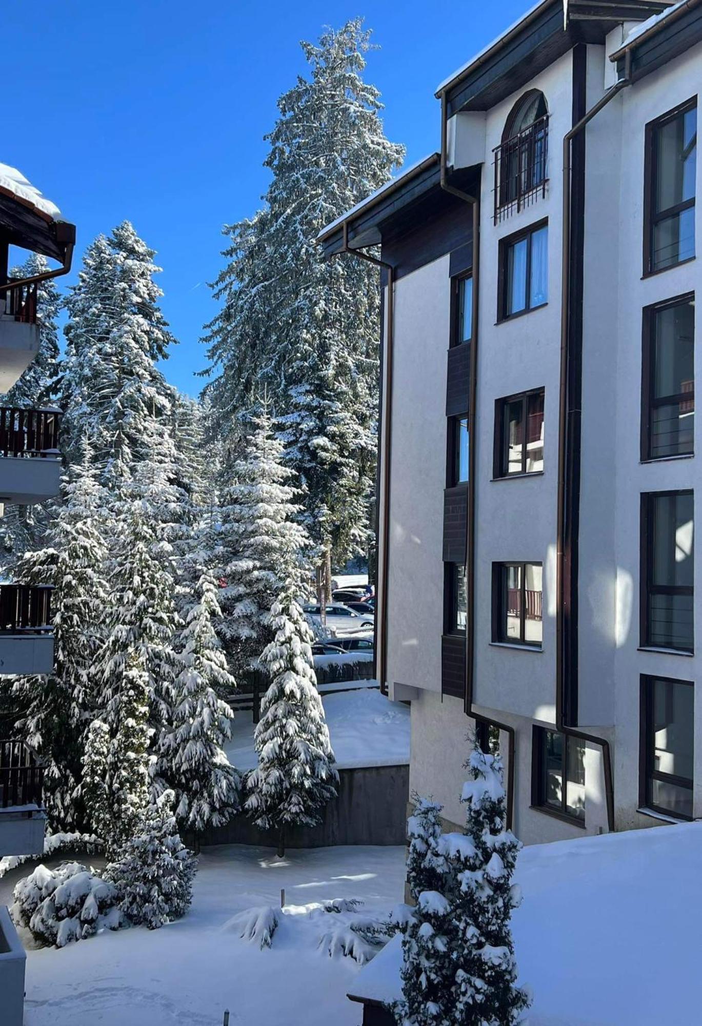 Arboro Flora Residence Studio Boroveț Exterior foto